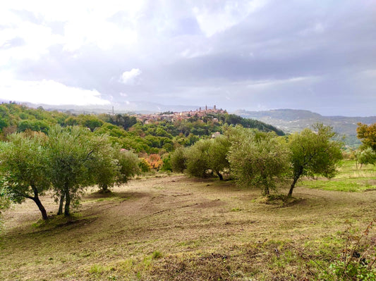 Living the Mediterranean Way with Extra Virgin Olive Oil Benefits