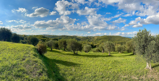 A Guide to Italy’s Best Farmers’ Markets for Gourmet Food Lovers