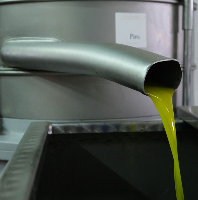 A Closer Look Inside our cutting edge olive mill