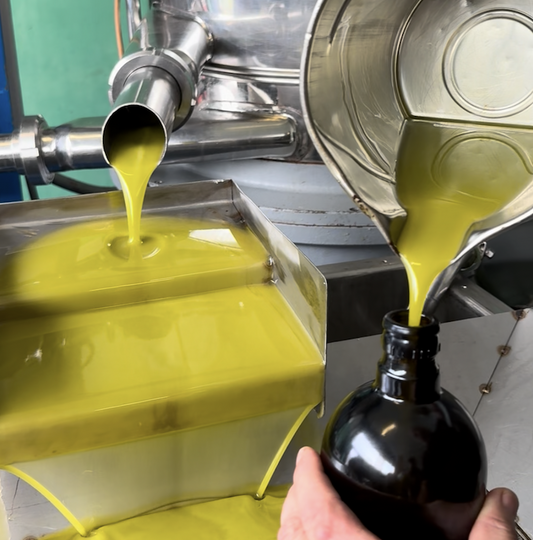Cloudy unfiltered olive oil beside a bottle of bright, golden Olio Piro Extra Virgin Olive Oil.