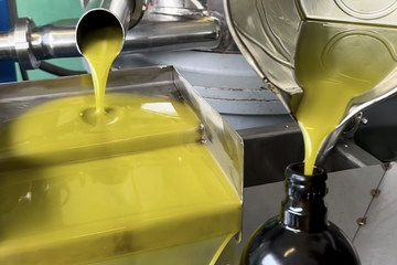 Romance vs. Reality: The Truth About Unfiltered Extra Virgin Olive Oil