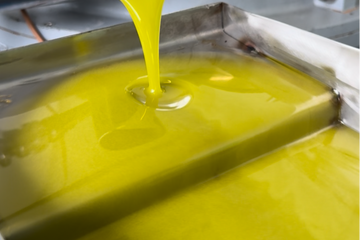 Sustainable Luxury: The Importance of Organic Farming in Olive Oil Production