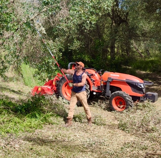 The Polyconic Vase Technique: The Art of Olive Tree Pruning