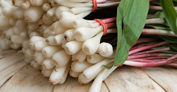 Ramps: The Seasonal Delicacy That Embodies Flavor, Tradition, and Sustainability