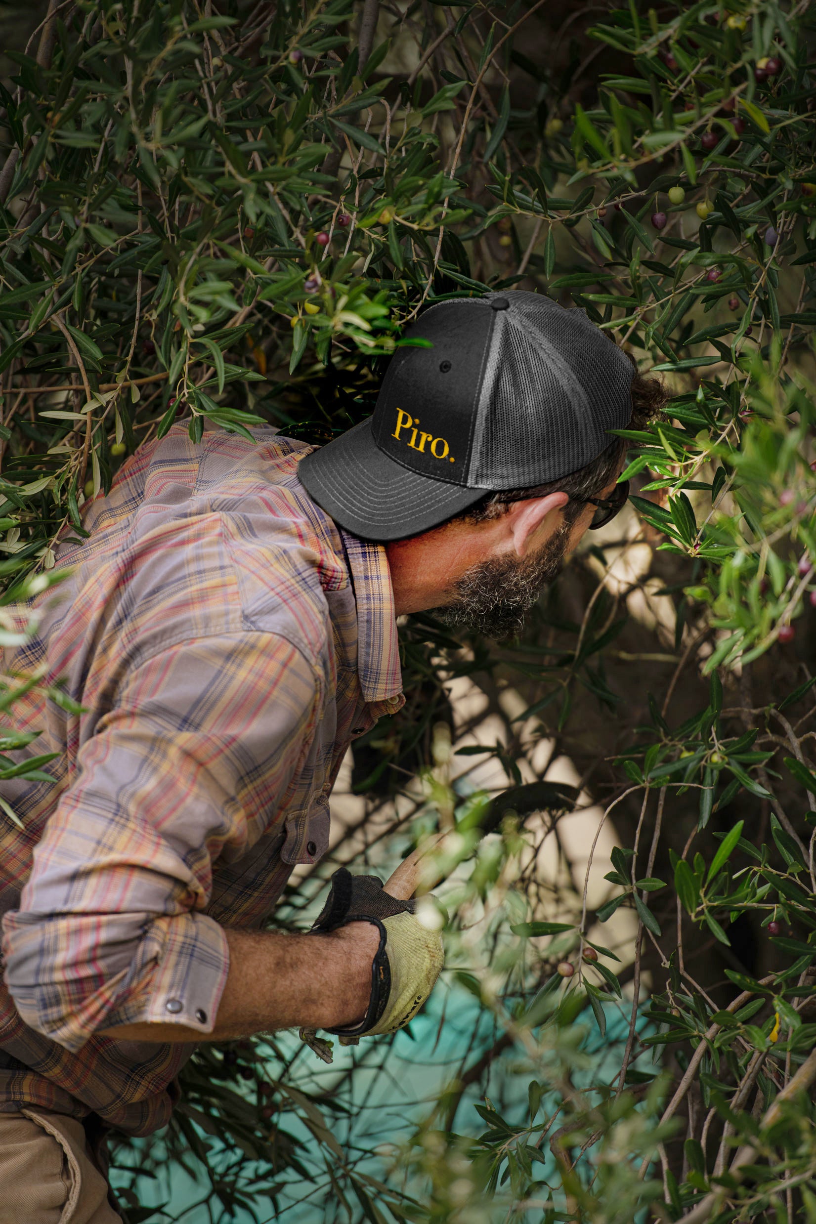 Close-up of Olio Piro harvesting cap