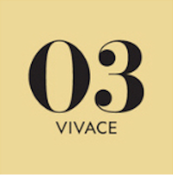 Bonini Vivace: Aged Balsamic Condiment with Depth and Character